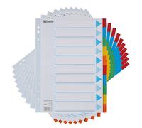 Esselte 10 paquetes de separadores de archivos de tarjetas A4, 10 separadores de carpetas de colores con hoja frontal de identificación, para carpetas de anillos y archivos de palanca de arco, hechos