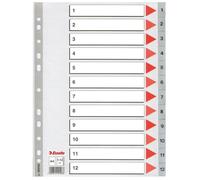 Esselte 100106 separadores de plástico grises | 12 pestañas | 11 agujeros