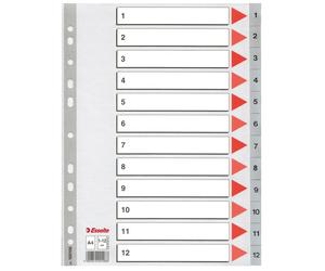 Esselte 100106 separadores de plástico grises | 12 pestañas | 11 agujeros