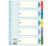 ESSELTE 100160 - Indice para carpetas multitaladro cartón MYLAR DIN A4 con cartulina índice color 1-5 multicolor