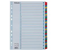 ESSELTE 100164 - Indice para carpetas multitaladro cartón MYLAR DIN A4 con cartulina índice color 1-31 multicolor