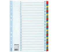 Esselte 100164 separadores de cartón A4 con 31 pestañas (11 agujeros)