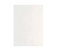 Esselte 395484100 - Sobres de PPL brillante para almacenar y almacenar documentos en formato 22 x 30 cm, paquete de 100 sobres