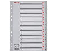 Esselte A4 Índice de Pestañas 1-20, Extra Ancho, Gris, Pestañas de Plástico Resistente con Carátula de Índice, 100107