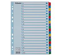 Esselte Abecedario de cartón Mylar con portada índice, Tamaño A4, Multicolor,100166