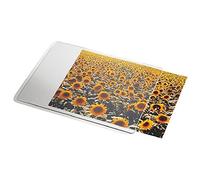 Esselte Alfombrilla personalizable modelo 67691 19 x 24 cm transparente