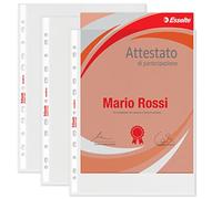 Esselte Buste a foratura universale Copy Safe Office 23x33 cm goffrata 569720 (conf.100)