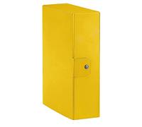 Esselte C28 EUROBOX - Carpeta para proyectos (25 x 35 cm, lomo 8 cm, amarillo, paquete de 1, 390328090)