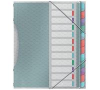 Esselte Carpeta Divisora con 12 Pestañas, A4, Organizador de Documentos Libre de Ácidos, Fundas de Plástico Transparente, Casa/Oficina, Patrón en Relieve, Gama Colour'Breeze, Multi Colour,626256