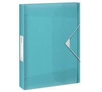 Esselte Carpeta Organizadora Tamaño A4, Gran Capacidad para 350 Hojas, Lomo de 40mm, Carpeta Translúcida para Documentos, Casa/Oficina, Patrón en Relieve, Gama Colour'Breeze, Azul, 626264