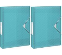 Esselte Carpeta Organizadora Tamaño A4, Hasta 200 Hojas, Lomo de 25mm, Carpeta Translúcida para Documentos, Casa/Oficina, Patrón en Relieve, Gama Colour'Breeze, Azul, 626259 (Paquete de 2)
