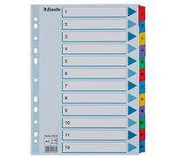 Esselte Índices Numéricos de Cartón Mylar, Tamaño A4, Tipo 1-12, Multicolor, 100162