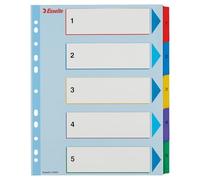 Esselte Índices Proyectos Borra y Reescribe, Tamaño A4 maxi, 5 pestañas, Multicolor, 100207
