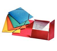 Esselte Leitz 15523 - Carpeta archivadora (capacidad de 200 hojas), multicolor