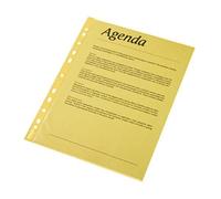 Esselte Leitz Coloured Pocket - Paquete de 10 portafolios de plástico A4, amarillo