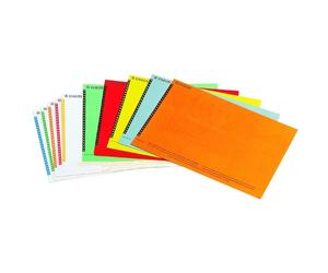 Esselte Orgarex Tiras de jinete para carpetas colgantes verticales | 250 unidades