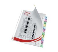 Esselte premium Fundas separadoras con 12 pestañas