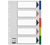 11709 - Separador archivo Esselte din a4 multitaladro con 5 separadores plástico color surtidos