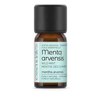 Essenciales - Aceite Esencial de Menta Arvensis/Menta Japonesa, 100% Puro, 10 ml | Aceite Esencial Mentha Arvensis 100% Puro