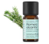 Essenciales - Aceite Esencial de Romero Alcanfor, 100% Puro, 10 ml | Aceite Esencial Rosmarinus Officinalis
