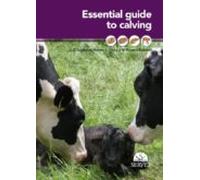 Essential Guide To Calving