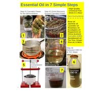 Essential Oil in 7 Simple Steps: High Quality, Chemical Free, Done in 1 hour (The Engineer's Apprentice)