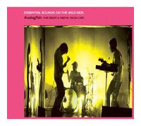 Essential Sounds on the Wild S