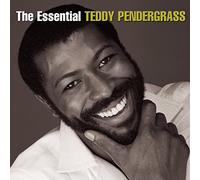 Essential Teddy