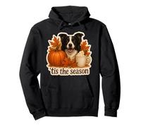 Esta es la estación del Border Collie para Perros, otoño y otoño, Especias de Calabaza Sudadera con Capucha