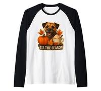 Esta es la estación del Border Terrier para Perro, otoño, otoño, Calabaza, Especia Camiseta Manga Raglan