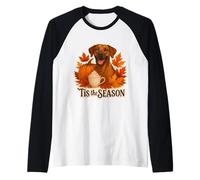 Esta es la estación del Perro Rhodesian Ridgeback, otoño y otoño, Calabaza Camiseta Manga Raglan
