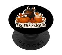 Esta es la estación: Perro Doberman Pinscher, otoño, otoño, Cachorro de Calabaza PopSockets PopGrip Adhesivo