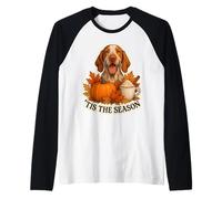 Esta es la Temporada: Bracco Italiano Dog Otoño Pumpkin Spice Camiseta Manga Raglan