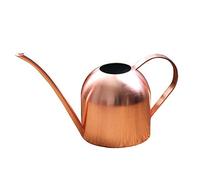 Esta regadera de Acero Inoxidable para Plantas de Interior Tiene un Pico Largo, un Estilo Moderno y una Capacidad de 1 litro (Color y tamaño: a Elegir).