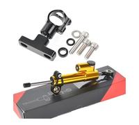 Estabilización para 800NK 2023 2024 para NK800 NK Accesorios Motocicleta Amortiguador Direccional Amortiguador Estabilizador Soporte Amortiguadores De Dirección(Type B10)