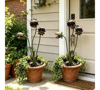 Estaca de JardíN de Metal con Forma de Planta CarníVora, Escultura de Planta Venus Atrapamoscas de 63,5 Cm, DecoracióN Para Exteriores, Ideal Para Macizos de Flores, Patios Y Jardineras(2PCS)