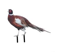Estacas de jardín acrílicas de doble cara con diseño realista de faisán y gallo, adecuadas para uso en césped y patio al aire libre (A)