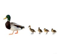 Estacas pastorales de jardín de animales para césped, patio, decoración de PVC al aire libre con imágenes de doble cara de grado profesional para ajuste natural