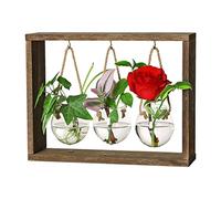 Estación de esparcimiento de agua, terrario de aire vintage con marco de madera, terrario creativo con soporte de madera, jarrón de flores de tubo de ensayo, maceta de para decoración de