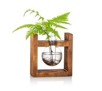 Estación De Propagación 1 Piezas Bombilla Florero De Aguacate Florero De Bellota De Vidrio para Flores Maceta De Terrario Jardinera con Estante De Madera Soportes para Plantas De Agua Verde Apto para