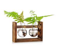 Estación De Propagación 2 Piezas Bombilla Florero De Aguacate Florero De Bellota De Vidrio para Flores Maceta De Terrario Jardinera con Estante De Madera Soportes para Plantas De Agua Verde Apto para