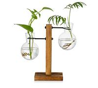 Estación De Propagación con Rejilla De Madera 2 Bombilla Florero De Aguacate Vintage Vasos De Tubo De Ensayo De Vidrio para Flores Planta De Bellota para Mesa Escritorio Decoración Interior