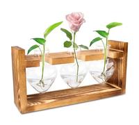 Estación de propagación de cristal para plantas, de cristal con soporte de madera, jarrones pequeños vintage para decoración de mesa, jarrones modernos para plantas hidropónicas, tubos de ensayo