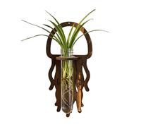 Estación de Propagación de Pared | Terrarios Maceta Medusa,Maceteros y Terrarios para Pared,para Cultivadores Principiantes y Profesionales Oficina en el Hogar Salón Cocina Dormitorio