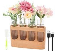 Estación de propagación de plantas con soporte de madera, terrario de cristal para vegetación viva hidropónica, regalo para mujeres y madres, 3 modos de iluminación, 9 niveles de brillo, decoración