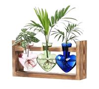 Estación de propagación de plantas, terrario de plantas, jarrón de vidrio en forma de corazón, soporte de madera, maceta de mesa para hidroponía, decoración de jardín