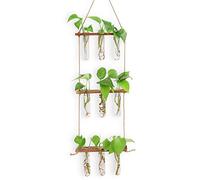 Estación de propagación de terrarios de pared para plantas hidropónicas, jarrón de tubo de ensayo colgante 3-niveles con 7 tubos, 3 clavos color madera oscura