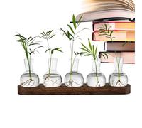 Estación De Propagación - Jarrón De Cristal De 37 X 7 X 2 Cm, Jardinera De Oficina, Terrario De Interior De Larga Duración | Botellas Hidropónicas Vintage para Plantación De Agua,