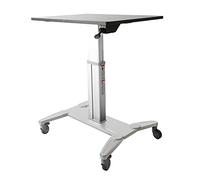 Startech Mobile Stand Workstation One Size Silver