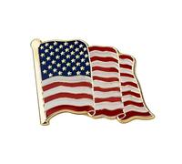 Estados Unidos de América Estrellas & Rayas Diplomat Bandera Metal Esmalte Pin Insignia